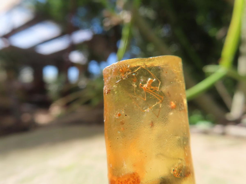 Natural Copal Amber Specimens x 2 From Nosy Varika, Madagascar