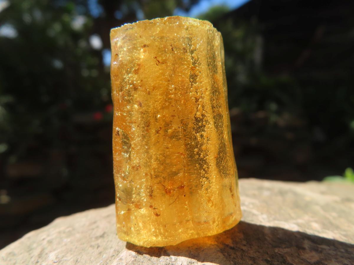 Natural Copal Amber Specimens x 2 From Nosy Varika, Madagascar