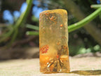 Natural Copal Amber Specimens x 2 From Nosy Varika, Madagascar