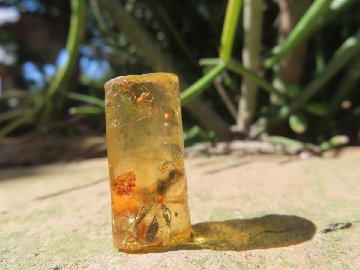 Natural Copal Amber Specimens x 2 From Nosy Varika, Madagascar