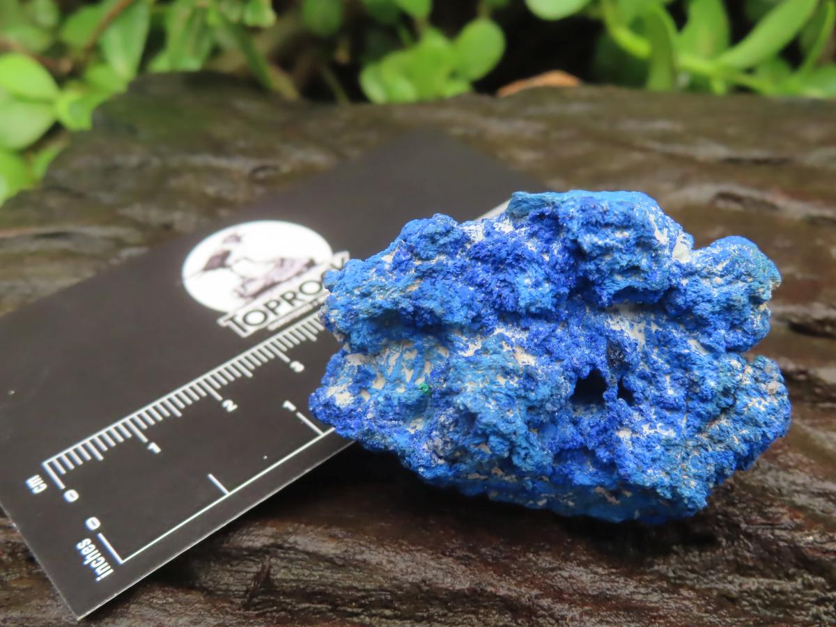 Natural Rare Semi Crystalline Azurite Nodule x 1 From Jakka Mine, Congo