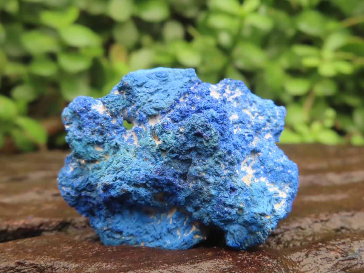 Natural Rare Semi Crystalline Azurite Nodule x 1 From Jakka Mine, Congo