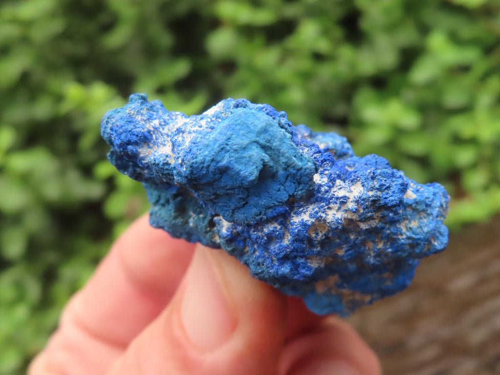 Natural Rare Semi Crystalline Azurite Nodule x 1 From Jakka Mine, Congo