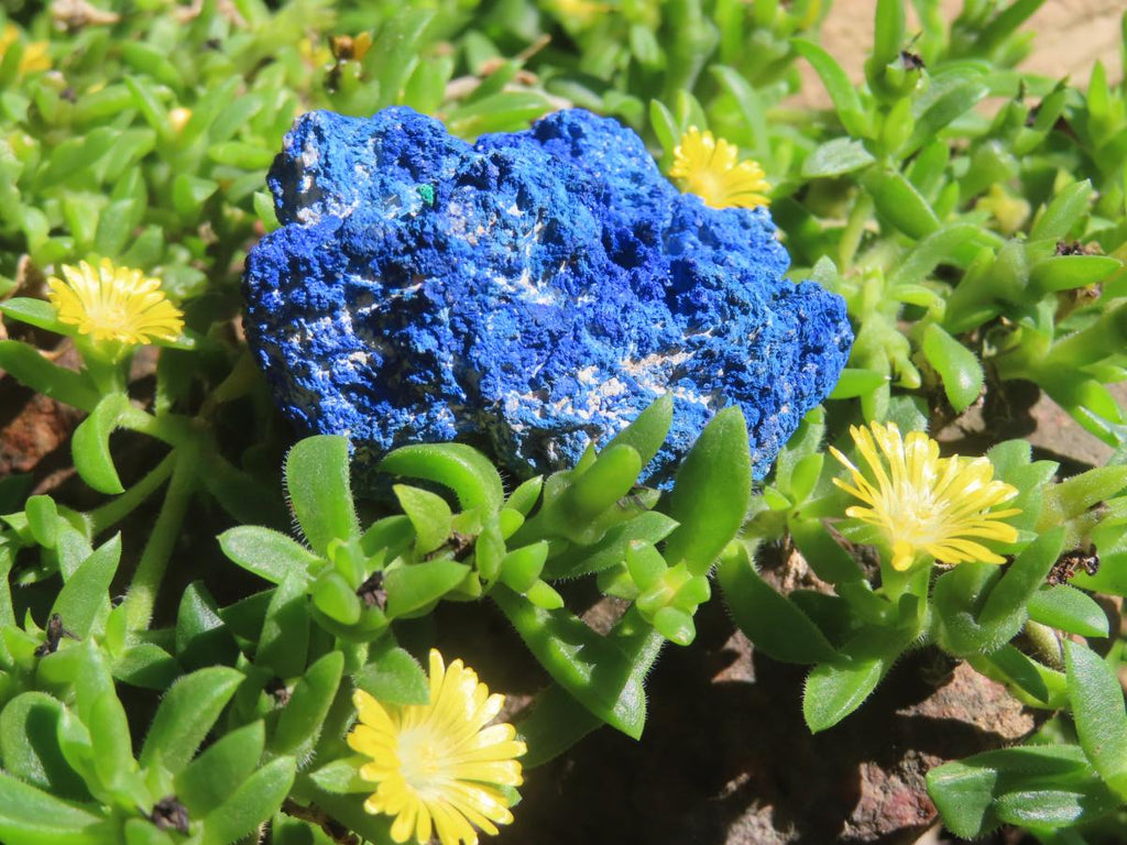 Natural Rare Semi Crystalline Azurite Nodule x 1 From Jakka Mine, Congo