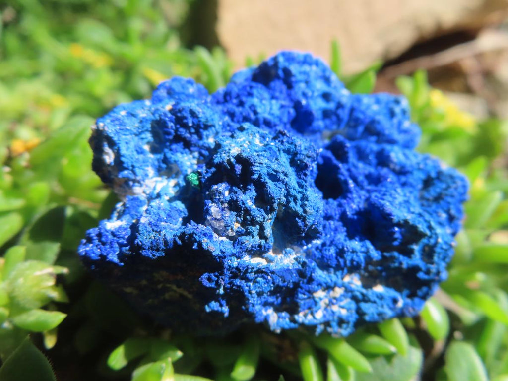 Natural Rare Semi Crystalline Azurite Nodule x 1 From Jakka Mine, Congo