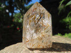 Polished Epidote Needle Rutile Included Clear Quartz Crystal x 1 From Madagascar