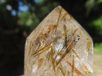 Polished Epidote Needle Rutile Included Clear Quartz Crystal x 1 From Madagascar