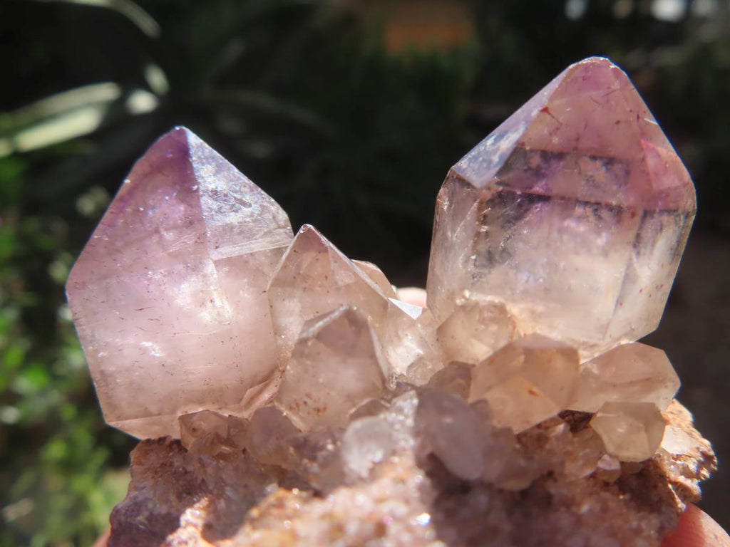 Natural Twin Amethyst Crystals on a Quartz Matrix Specimen x 1 From Brandberg, Namibia