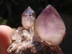 Natural Twin Amethyst Crystals on a Quartz Matrix Specimen x 1 From Brandberg, Namibia