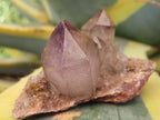 Natural Twin Amethyst Crystals on a Quartz Matrix Specimen x 1 From Brandberg, Namibia