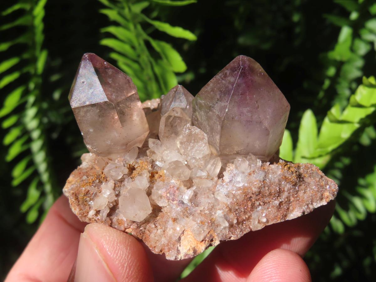 Natural Twin Amethyst Crystals on a Quartz Matrix Specimen x 1 From Brandberg, Namibia