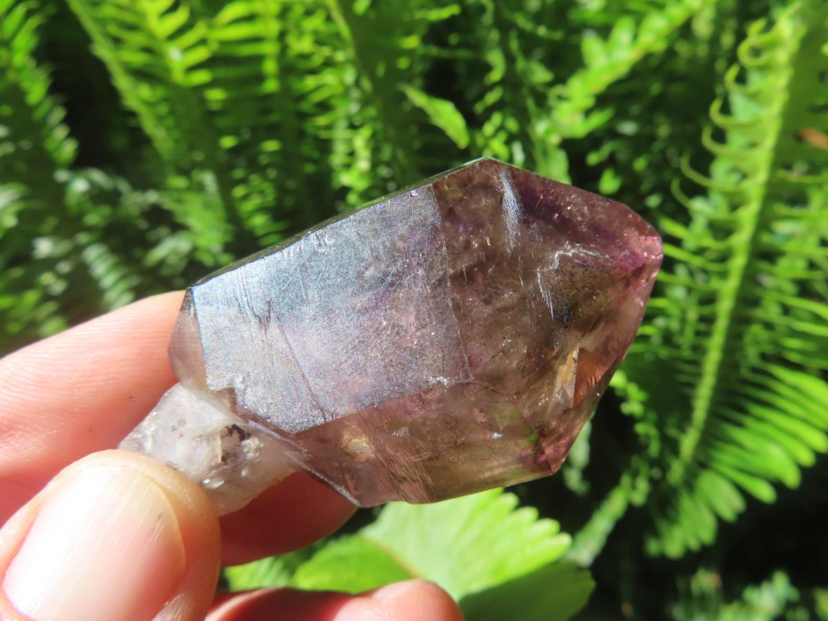 Natural Large Smokey Amethyst Window Quartz Sceptre with Enhydro x 1 From Chiredzi, Zimbabwe