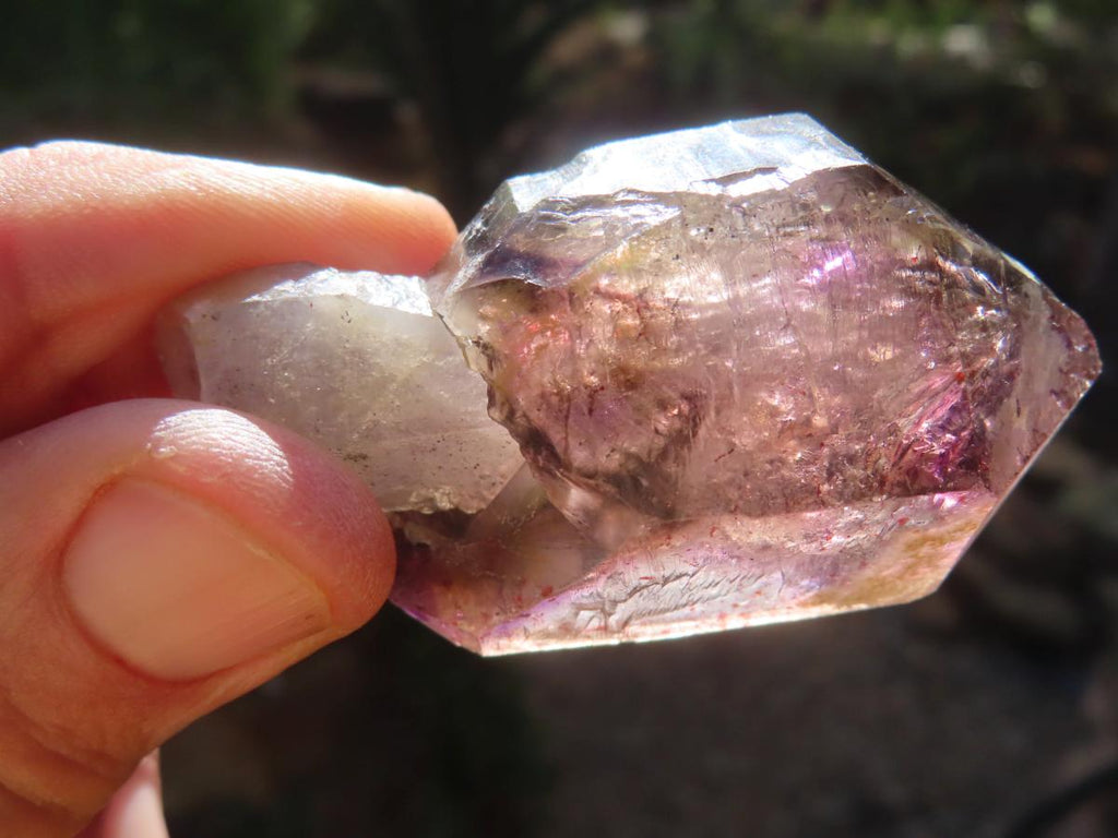 Natural Large Smokey Amethyst Window Quartz Sceptre with Enhydro x 1 From Chiredzi, Zimbabwe