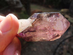 Natural Large Smokey Amethyst Window Quartz Sceptre with Enhydro x 1 From Chiredzi, Zimbabwe