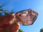 Natural Large Smokey Amethyst Window Quartz Sceptre with Enhydro x 1 From Chiredzi, Zimbabwe