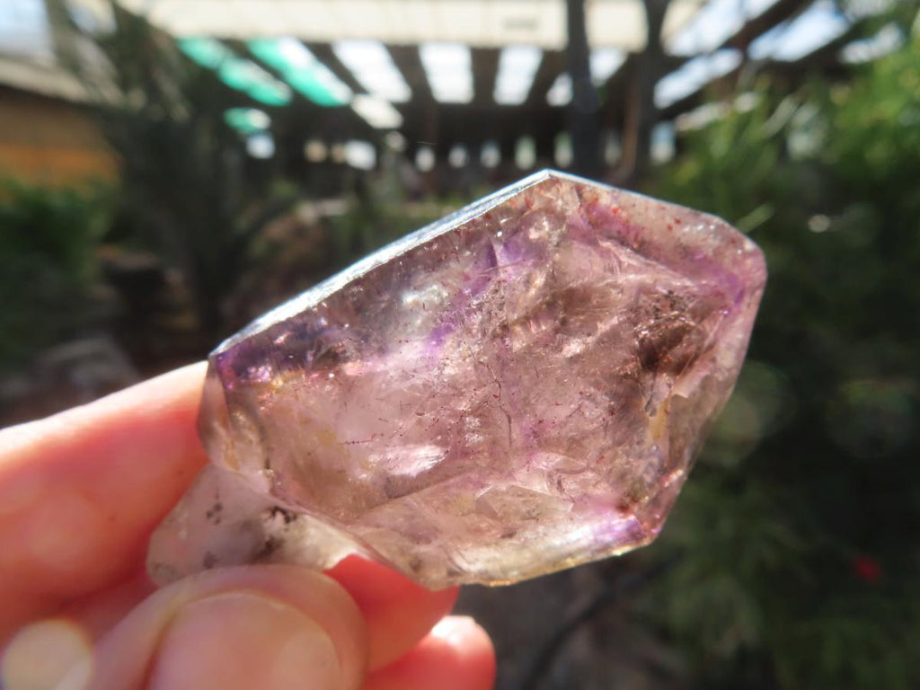 Natural Large Smokey Amethyst Window Quartz Sceptre with Enhydro x 1 From Chiredzi, Zimbabwe