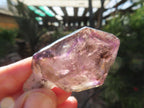 Natural Large Smokey Amethyst Window Quartz Sceptre with Enhydro x 1 From Chiredzi, Zimbabwe