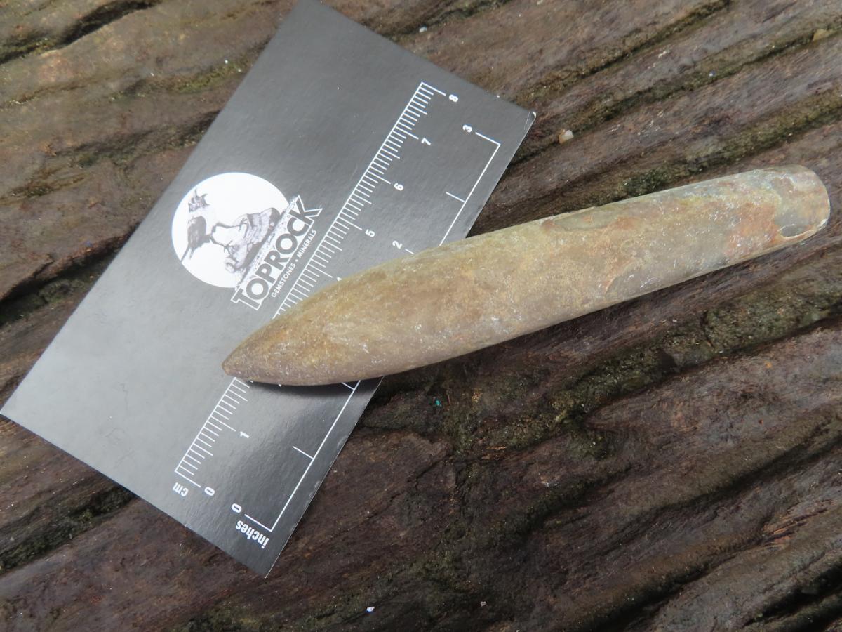 Natural XL Belemnite Fossil Bullet x 1 From Maintirano, Madagascar