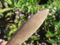 Natural XL Belemnite Fossil Bullet x 1 From Maintirano, Madagascar