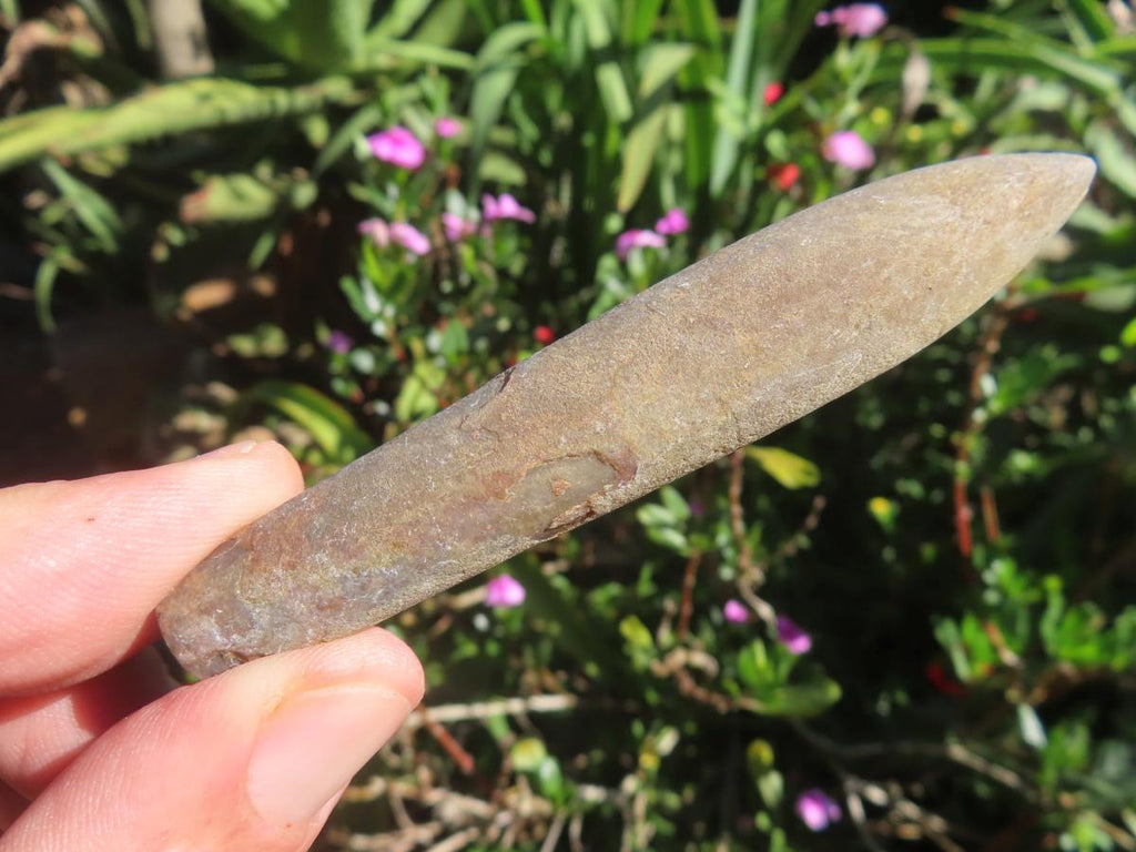 Natural XL Belemnite Fossil Bullet x 1 From Maintirano, Madagascar