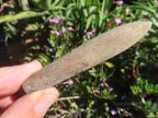Natural XL Belemnite Fossil Bullet x 1 From Maintirano, Madagascar