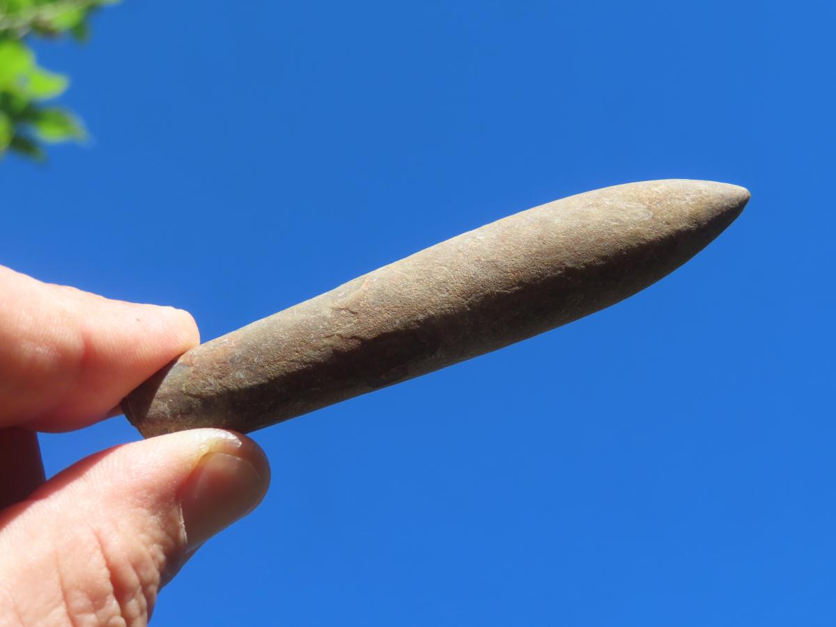 Natural XL Belemnite Fossil Bullet x 1 From Maintirano, Madagascar