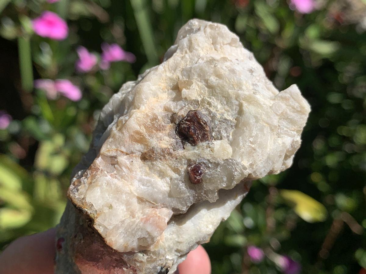 Natural Twin Red Garnet Crystals in Quartz x 1 From Karibib, Namibia