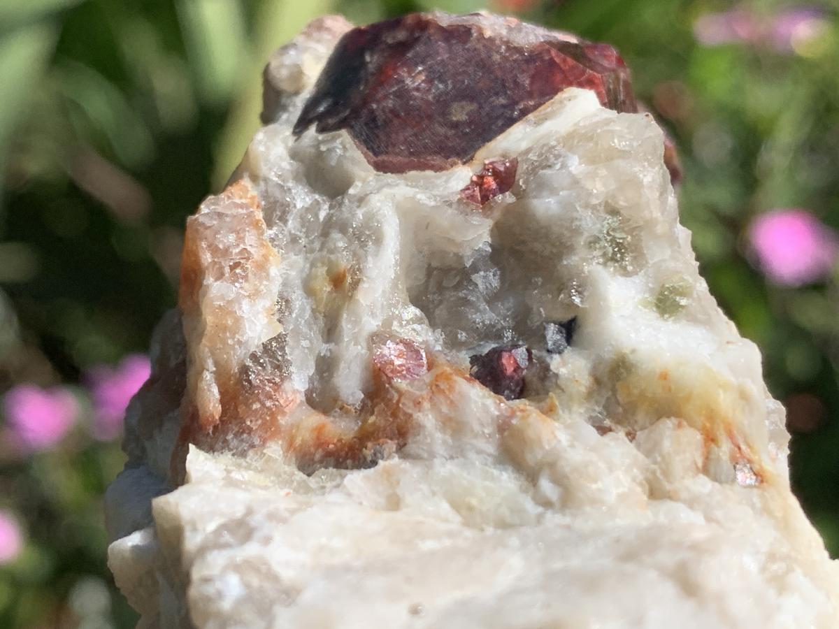 Natural Twin Red Garnet Crystals in Quartz x 1 From Karibib, Namibia