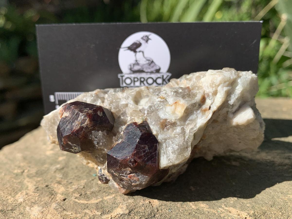 Natural Twin Red Garnet Crystals in Quartz x 1 From Karibib, Namibia