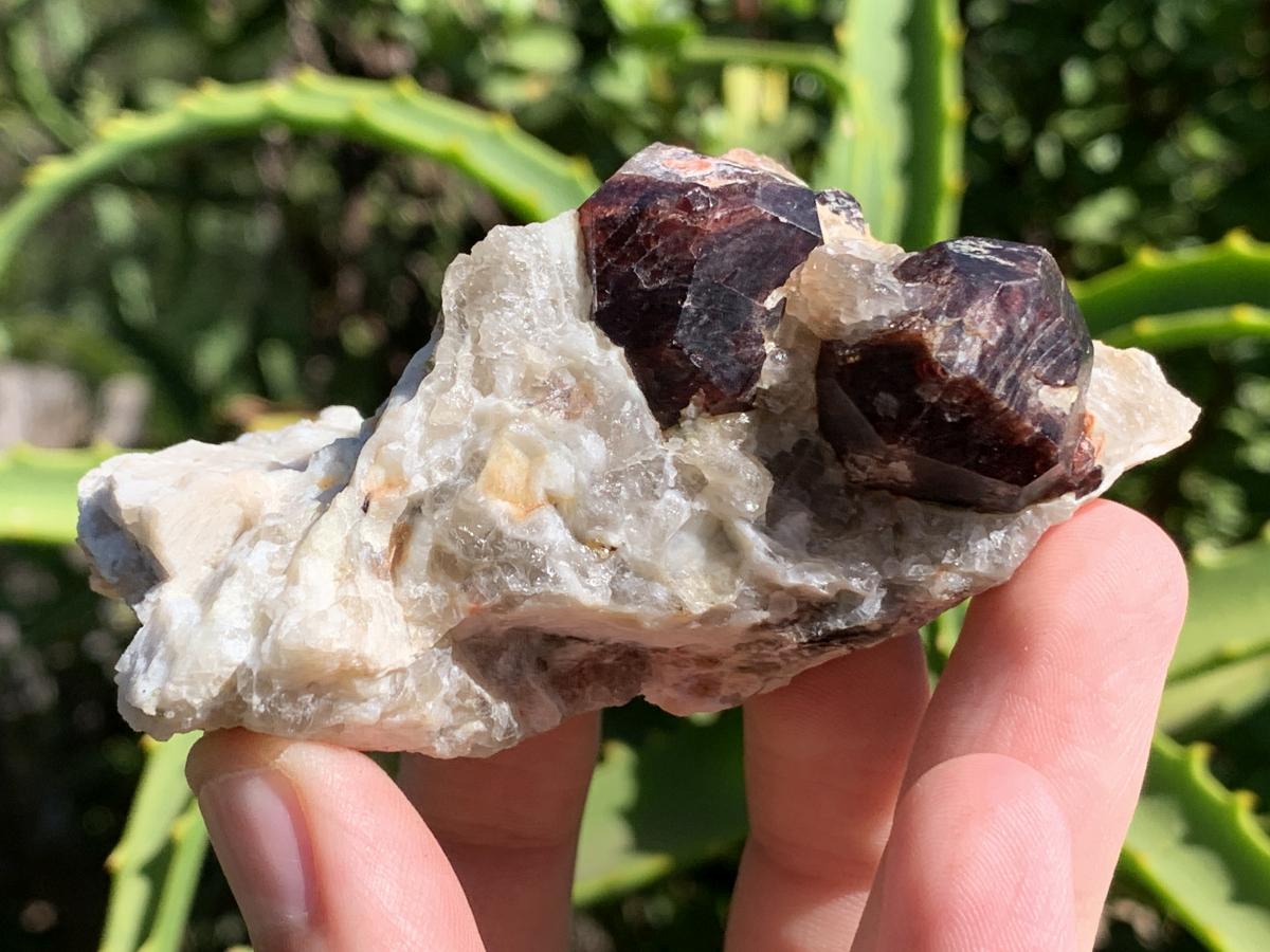Natural Twin Red Garnet Crystals in Quartz x 1 From Karibib, Namibia