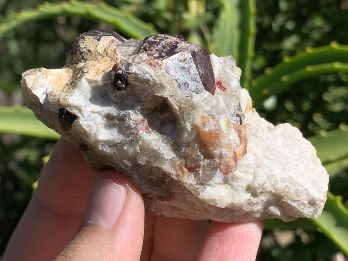 Natural Twin Red Garnet Crystals in Quartz x 1 From Karibib, Namibia