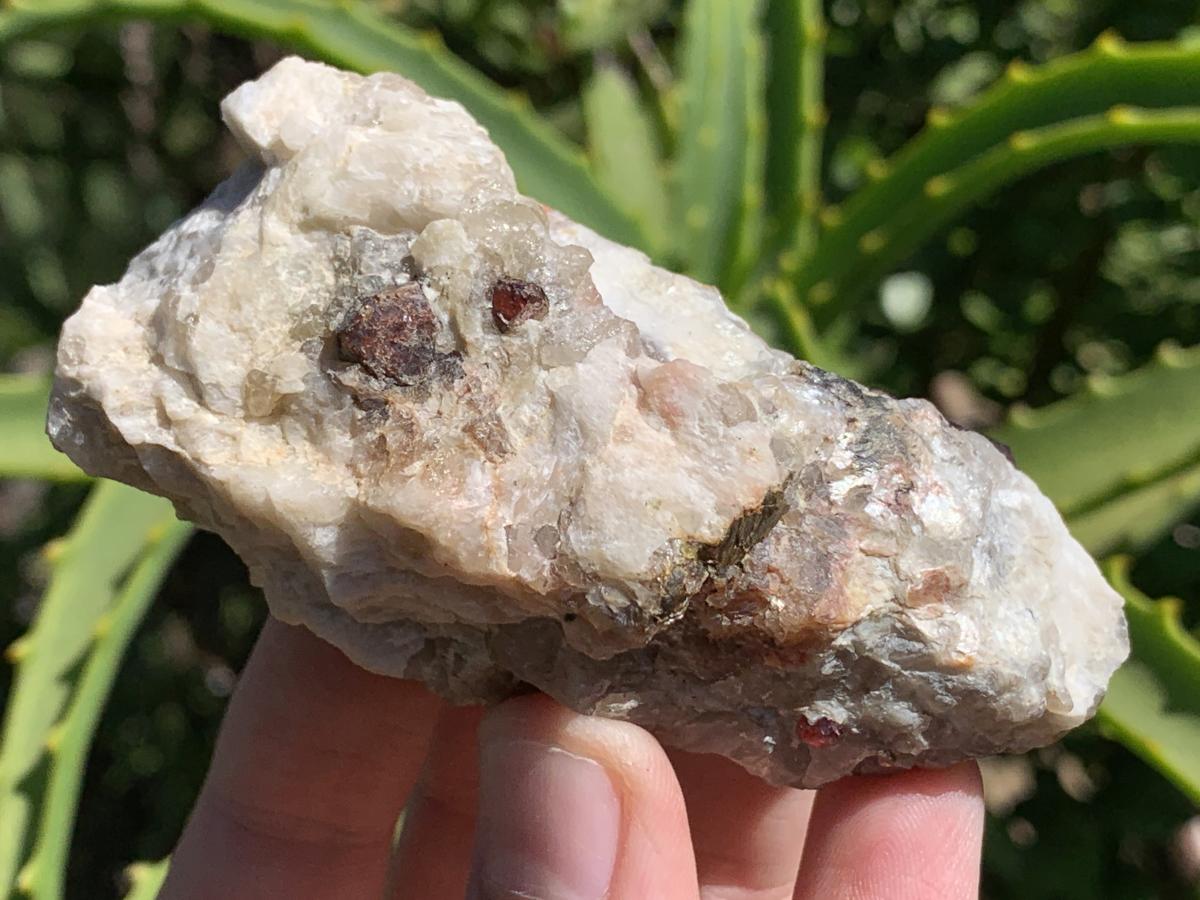 Natural Twin Red Garnet Crystals in Quartz x 1 From Karibib, Namibia
