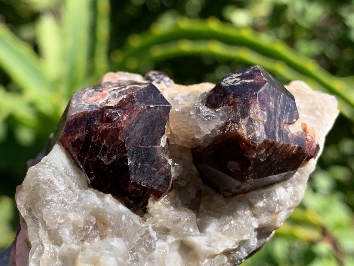 Natural Twin Red Garnet Crystals in Quartz x 1 From Karibib, Namibia