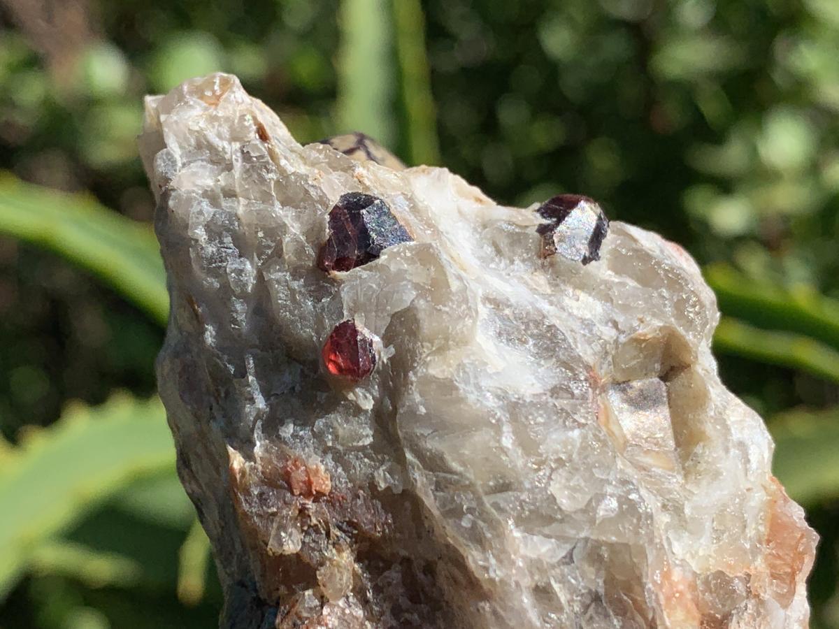 Natural Twin Red Garnet Crystals in Quartz x 1 From Karibib, Namibia