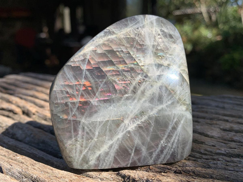 Polished Purple & Orange Sunset Labradorite Standing Free Form x 1 From Tulear, Madagascar