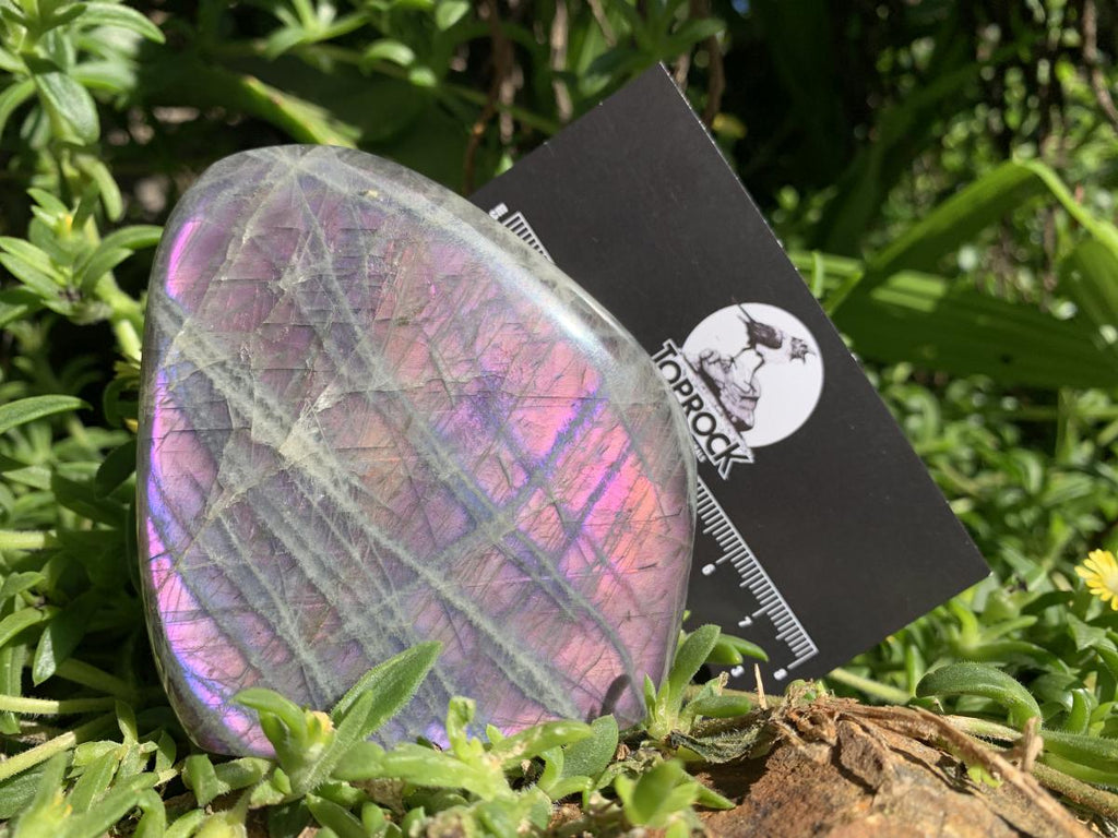 Polished Purple & Orange Sunset Labradorite Standing Free Form x 1 From Tulear, Madagascar