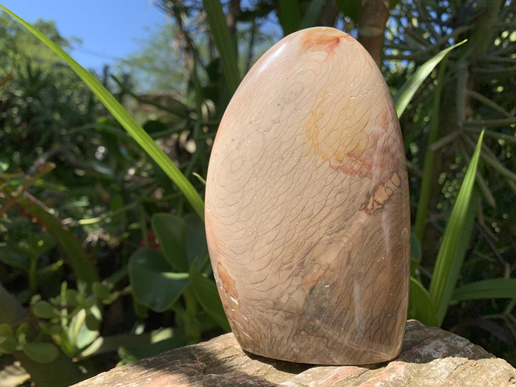 Polished Dragonscale Polychrome Jasper Display Piece x 1 From N.W. Coast, Madagascar