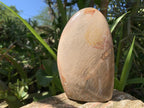 Polished Dragonscale Polychrome Jasper Display Piece x 1 From N.W. Coast, Madagascar