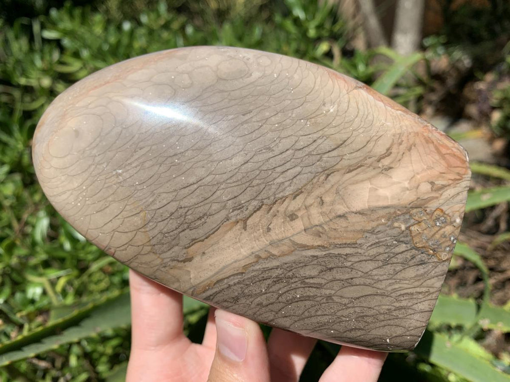 Polished Dragonscale Polychrome Jasper Display Piece x 1 From N.W. Coast, Madagascar