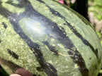 Polished Large Leopard Stone Egg x 1 From Zimbabwe