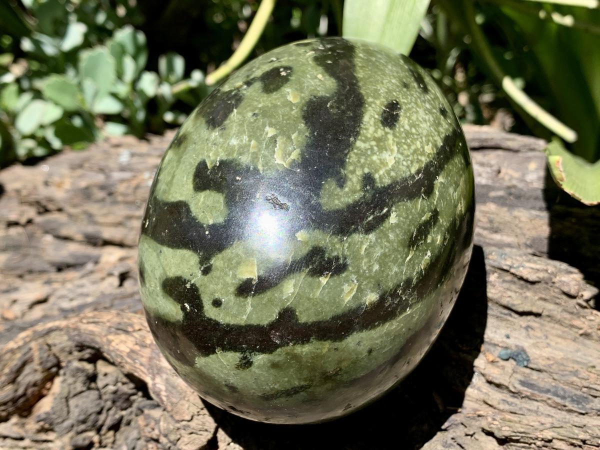 Polished Large Leopard Stone Egg x 1 From Zimbabwe