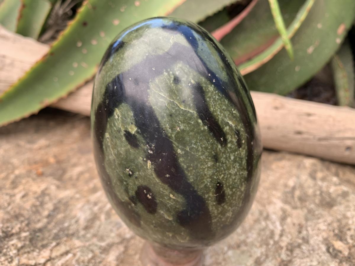 Polished Large Leopard Stone Egg x 1 From Zimbabwe