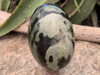 Polished Large Leopard Stone Egg x 1 From Zimbabwe