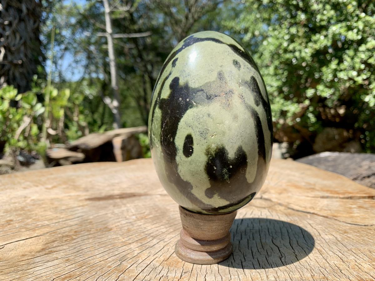 Polished Large Leopard Stone Egg x 1 From Zimbabwe