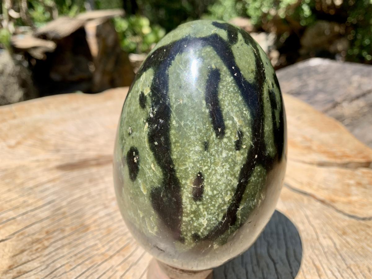 Polished Large Leopard Stone Egg x 1 From Zimbabwe