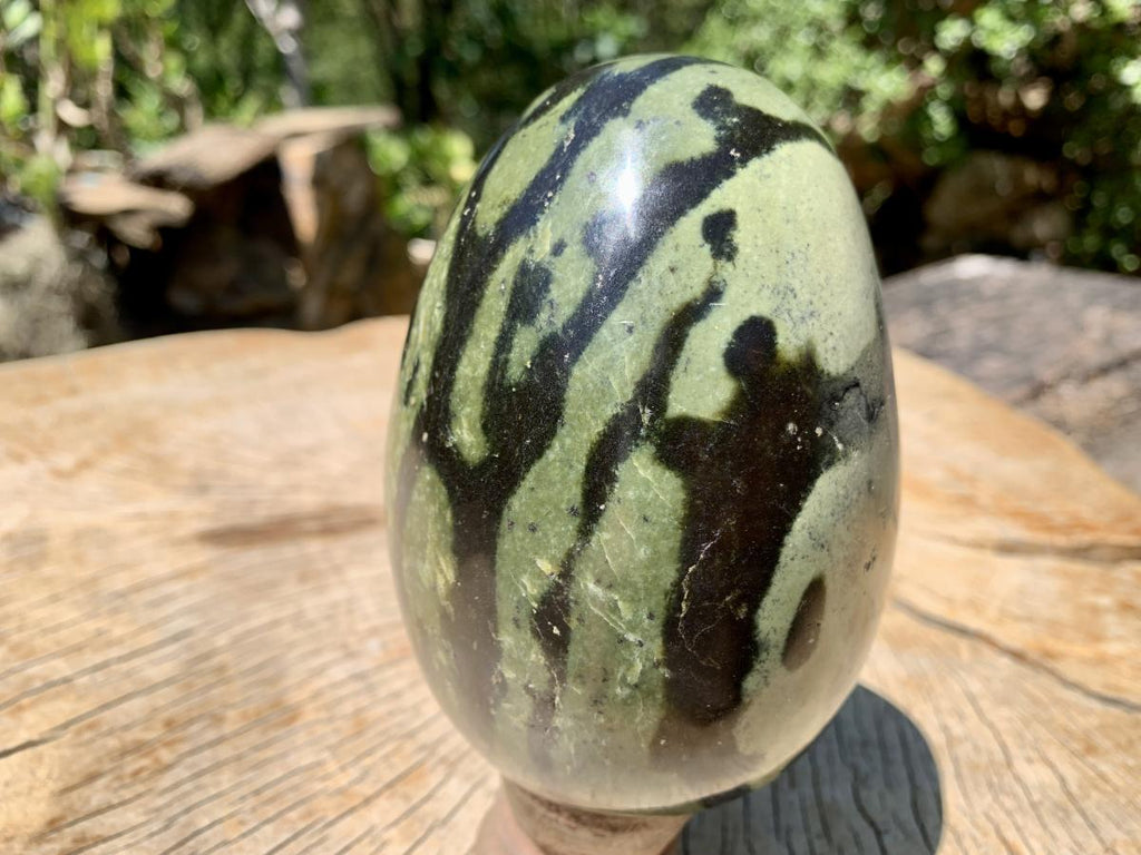 Polished Large Leopard Stone Egg x 1 From Zimbabwe