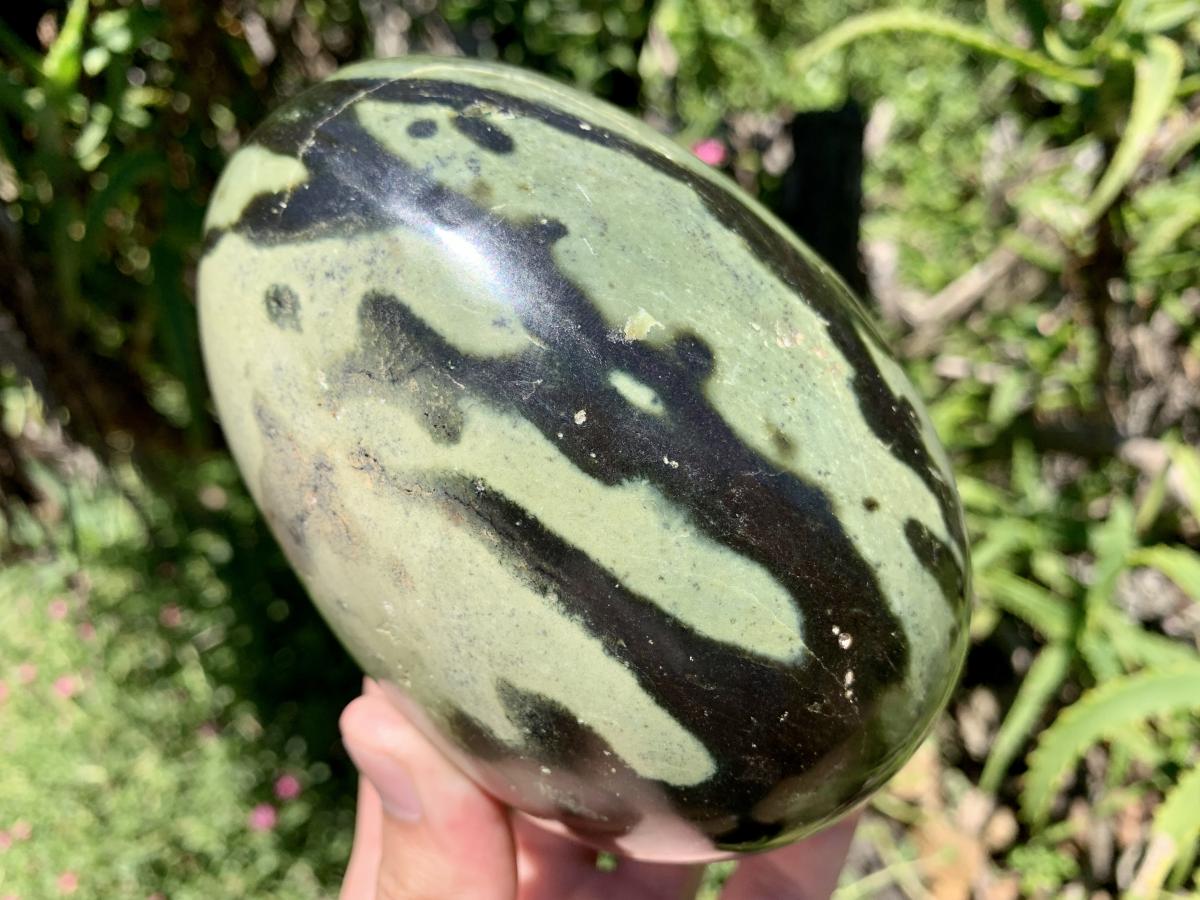 Polished Large Leopard Stone Egg x 1 From Zimbabwe