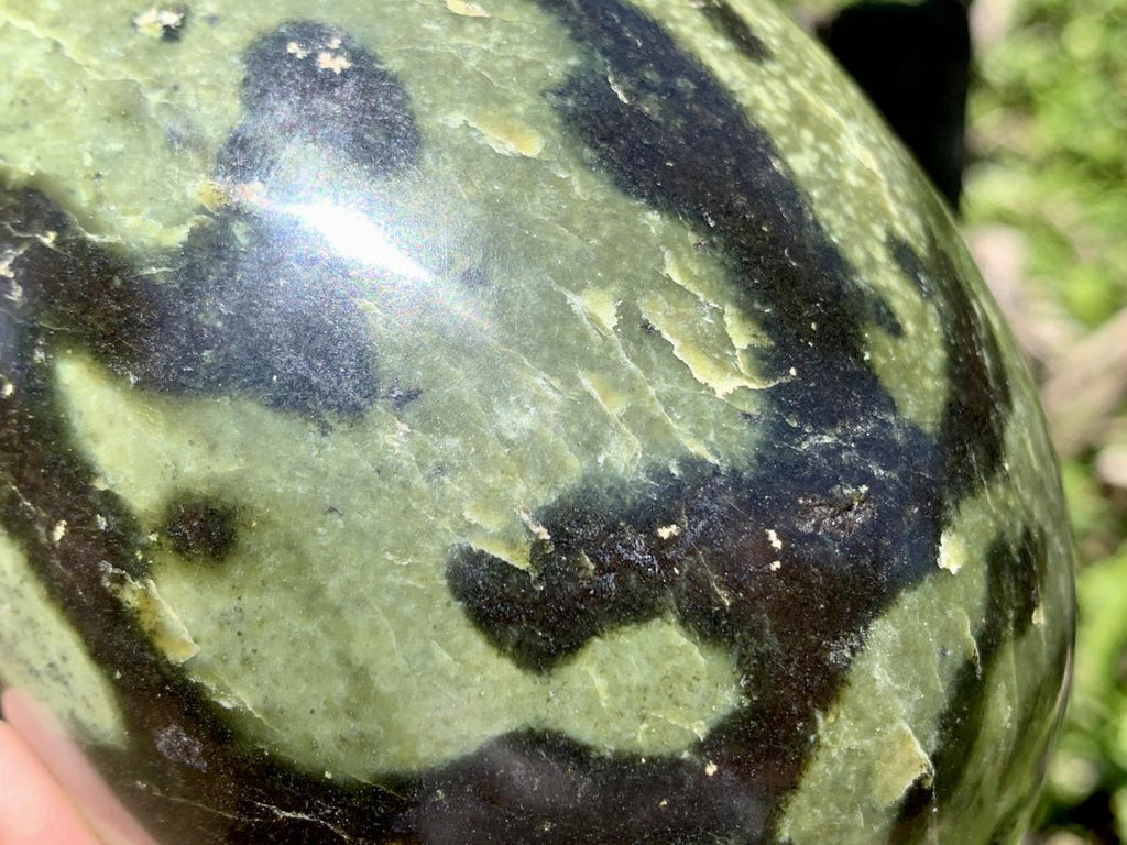 Polished Large Leopard Stone Egg x 1 From Zimbabwe