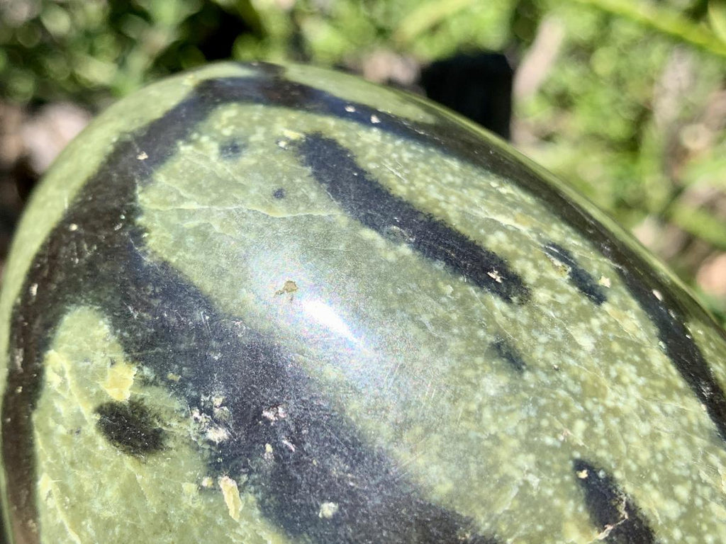 Polished Large Leopard Stone Egg x 1 From Zimbabwe