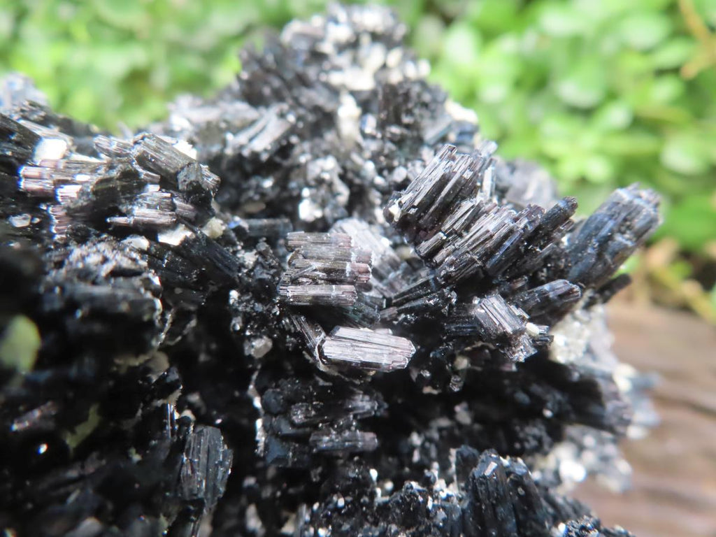 Natural XL Schorl Black Tourmaline Specimen x 1 From Erongo, Namibia